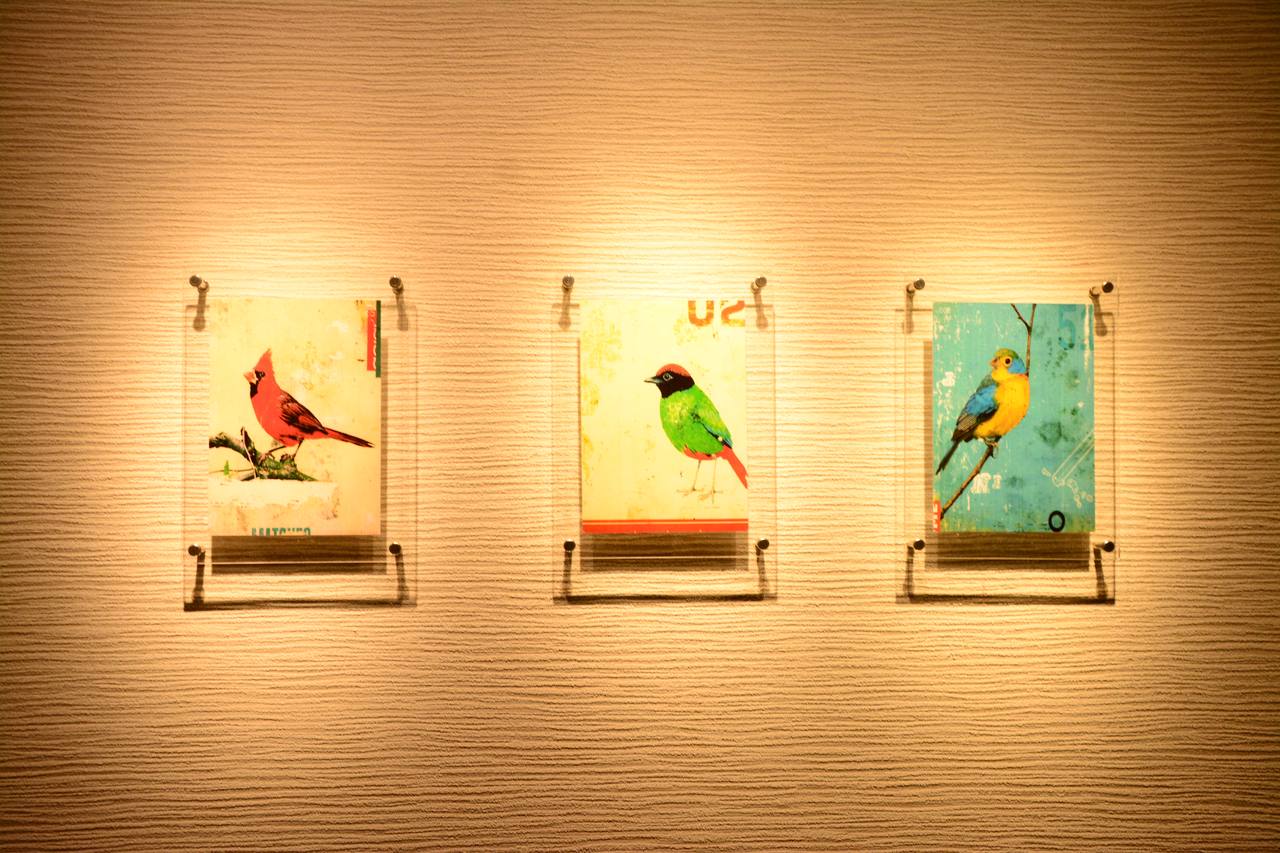 リビングアエル小浜の壁に、小鳥を描いた絵が3枚並んでいる。